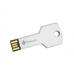 Pen Drive Chave 8GB